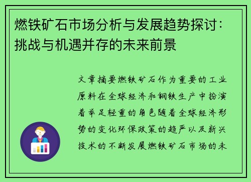燃铁矿石市场分析与发展趋势探讨：挑战与机遇并存的未来前景
